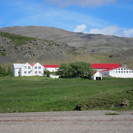 Brekka I Loni Farm Stay Stafafell Exterior photo